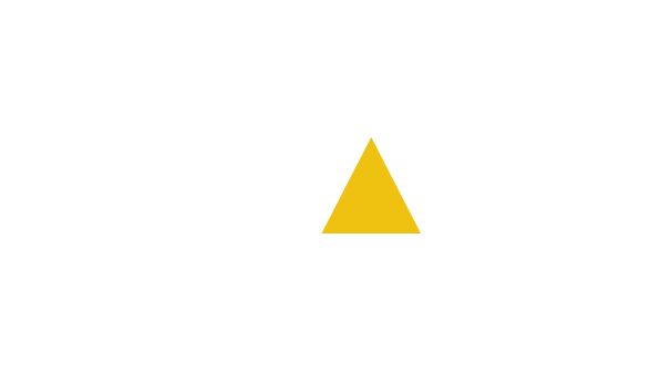 Logo VM Solutions Realty